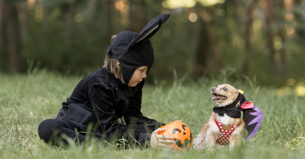 Trick-or-Treat: Should You Bring Your Dog Along?